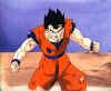 sangohan10.jpg (29391 octets)